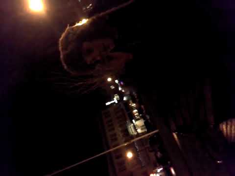 Homeless guy tells his secrets about magic mushrooms