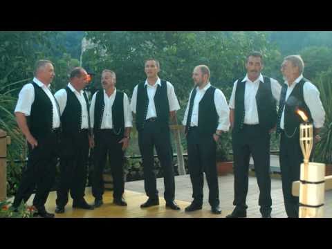 Schwanberger Doppelquartett - Warum bist du gekommen