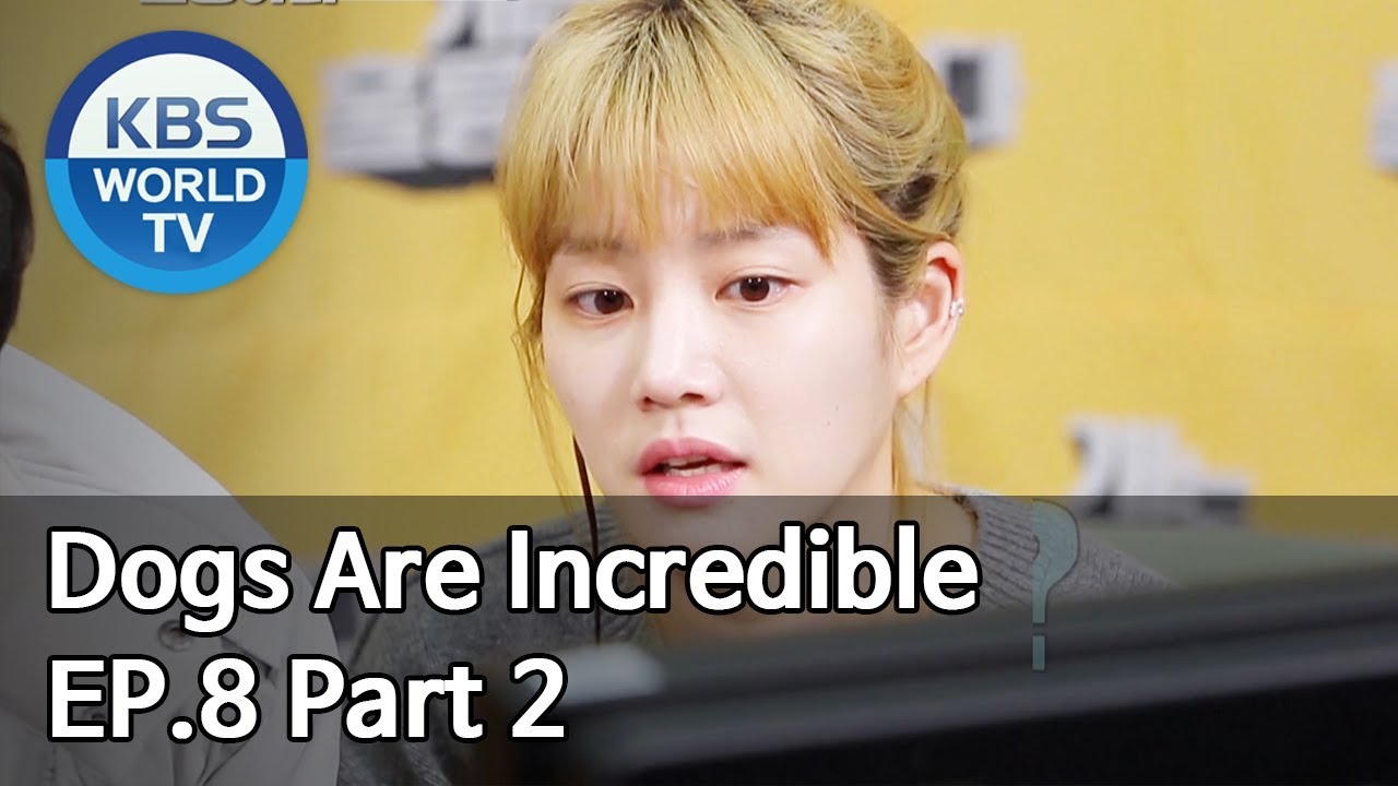 Dogs are incredible | 개는 훌륭하다 EP.8 Part 2 [SUB : ENG/2020.01.14]