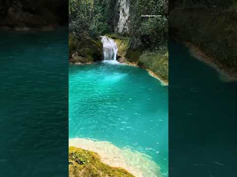 Cacho Pericon Aguacatan Huehuetenango