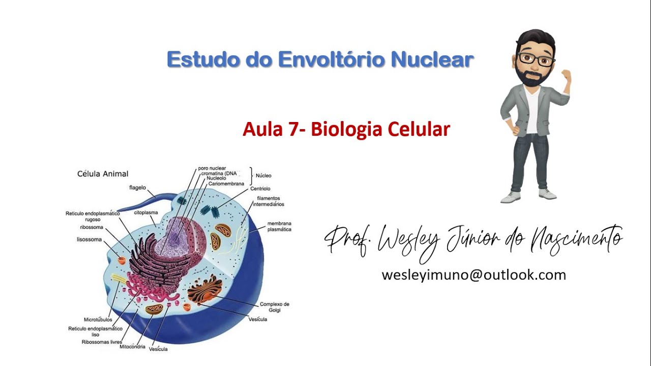 Biologia Celular-Ensino Superior-Aula 07: O Envoltório Nuclear