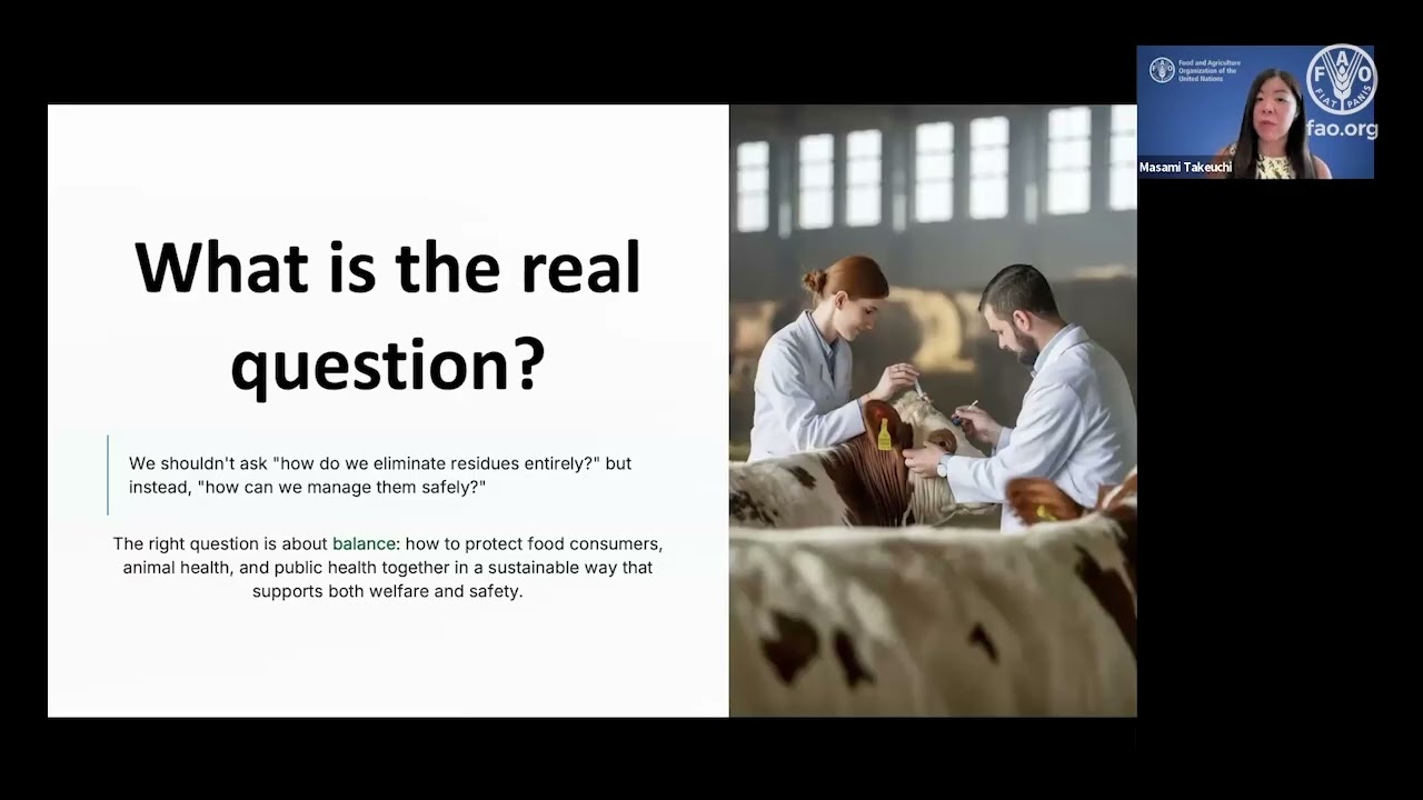 From residues to resistance: The dual role of antimicrobial residue monitoring