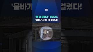 불 안 질렀다 버티더니…'물바가지'에 딱 걸렸다! #shorts / KBS