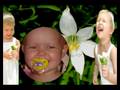 Dedicated To A Real Little Princess Named As Adelaine Brighton Powell