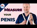 How To Measure Penile Size Practical Guide UroChannel