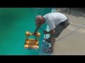 Dolphin Wave 75 In ACTION