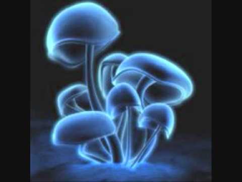 After the rain di fedo mora vs camurri (Elektrojack remix)