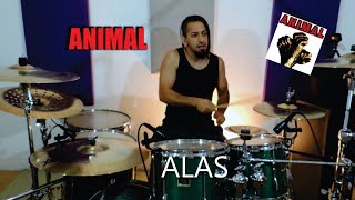 ANIMAL - Alas - Drum cover