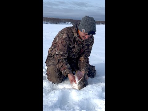 An Ice Fishing Giant #icefishing #pike #fishing #pikefishing