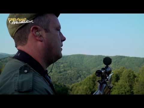 Auf Sommersauen in Bulgarien | Trailer | Waidblick DVD 2 2019