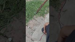 mini Motor + 1Rs Blade cutting green grass 8