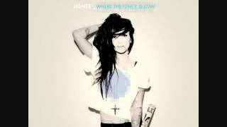 LIGHTS - Where the Fence is Low
