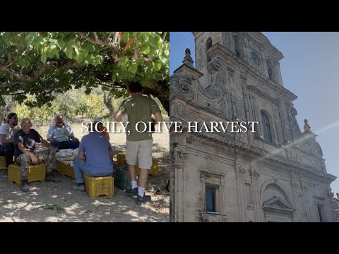 Sicilia, aceite de oliva recién exprimido | Comida campestre del granjero | Cosecha de aceitunas | Restaurante local de larga trayectoria "Mayol" | Ciudad barroca de Chara Monte Gulfi [Italia Vlog #93]