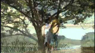 Video Te Amo de Los Corvets 