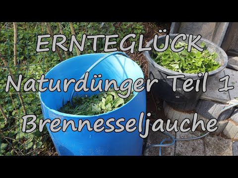 Dünger selber machen Brennesseljauche ERNTEGLÜCK