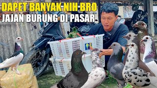 Download lagu SHOPPING FOR PIGEONS AT THE MARKET, YOU GET A LOT OF THEM mp3