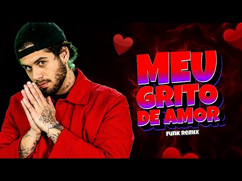 MEU GRITO DE AMOR - Zé Felipe - VIRAL (Funk Remix) DJ Igor do Am 