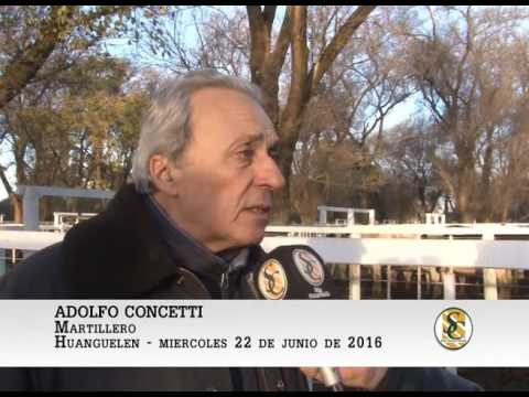 22-06-16 Nota Adolfo Concetti - Martin y Alonso S.R.L. - Huanguelen.