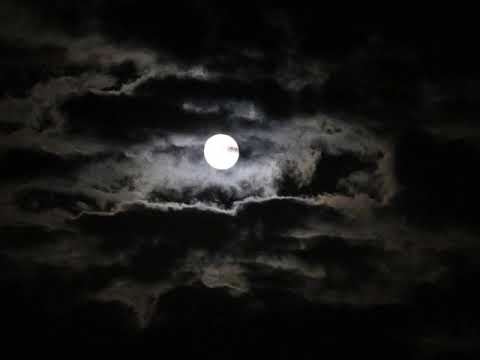 $co - In der Nacht (prod. VINTAGEMAN PRODUKCJA)