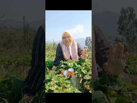 Tim RIFANA WATER Hiling ke Kota Batu Malang Agrowisatakusuma