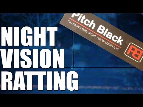 Pellet Power & Performance – Pitch Black Ratshooting Pellet Power & Performance – Pitch Black Ratshooting