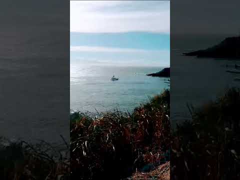 Praia dos Ossos , Armação dos Búzios,  RJ..