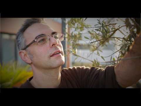 download lagu mp3 mp4 Les Jardins De Gally, download lagu Les Jardins De Gally gratis, unduh video klip Les Jardins De Gally