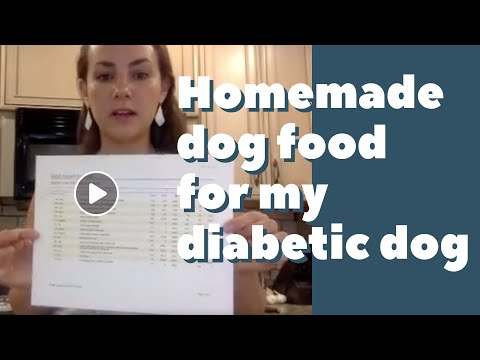 download lagu mp3 mp4 Pets At Home Diabetic Dog Food, download lagu Pets At Home Diabetic Dog Food gratis, unduh video klip Pets At Home Diabetic Dog Food