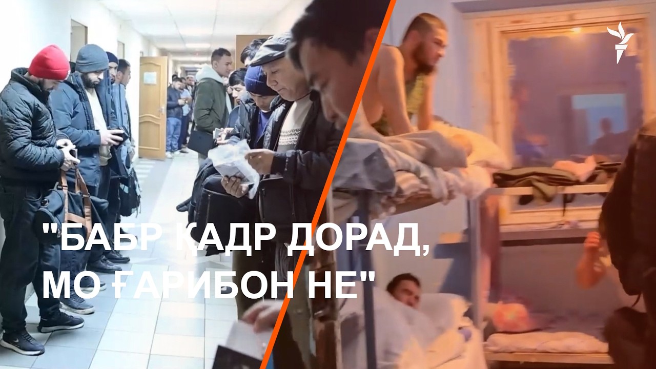 «Тасаввур кунед, бабр қадр дорад, мо ғарибон не"