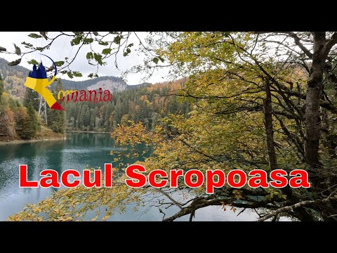 Simfonie de culori spre Lacul Scropoasa prin Cheile Zănoagei