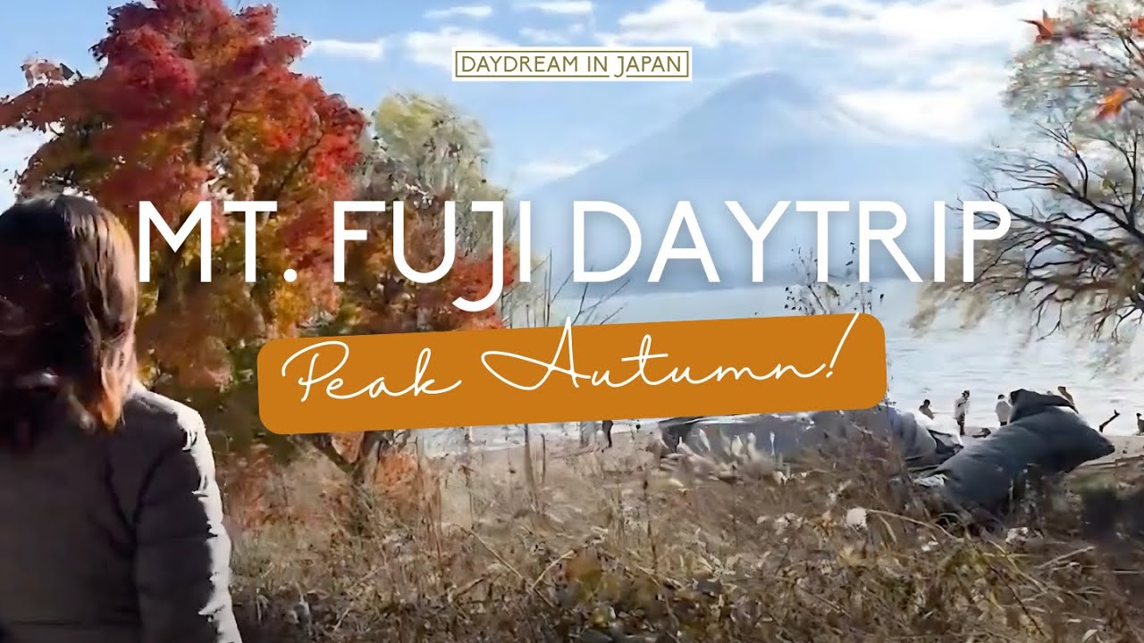 A traveler strolls through the enchanting Momiji Tunnel blanketed in autmn hues.