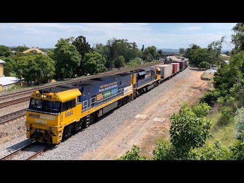 Pacific National NR84 (Real Trains) & LDP003 with 2BS4 at East Maitland - 7/3/23