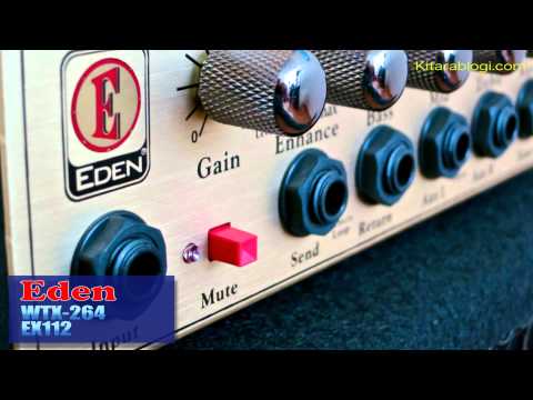 Eden Amplification WTX264 World Tour 264-Watt 4 Ohm Bass Head and Cab 2010s - Gold image 3