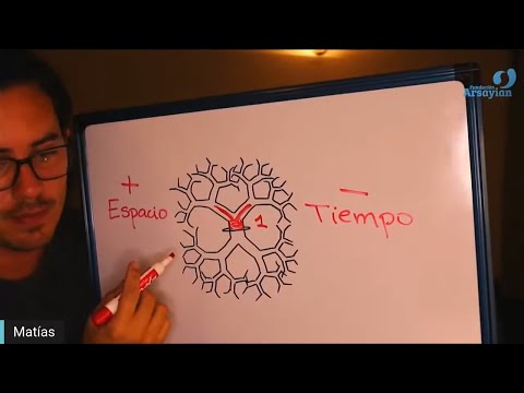 Día 345 - RAMAS - Matias De Stefano - edición en español