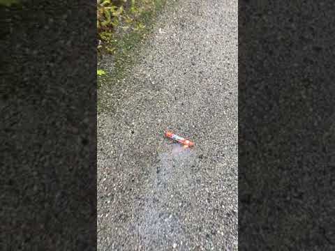 Monello P1 Romano | Napolitan boller