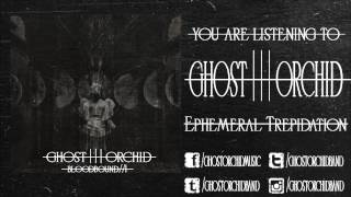 Ghost Orchid-Ephemeral Trepidation