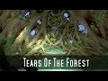 David Arkenstone - Tears Of The Forest | Epic Beautiful Emotional Fantasy