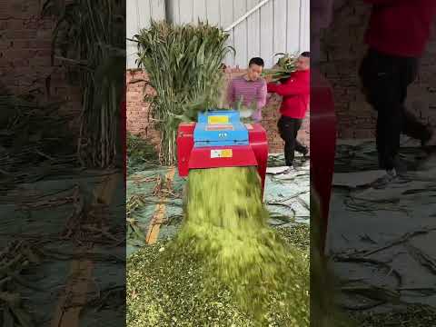 Cattle Feed  Silage Sheep Chaff Cutter Machine for Goat Farm