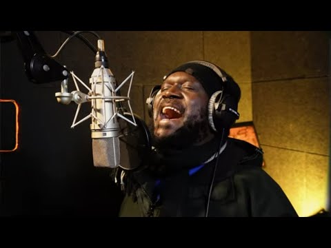 Chezidek & The Ligerians & Irie Ites - Wasp Nest (Official Video)