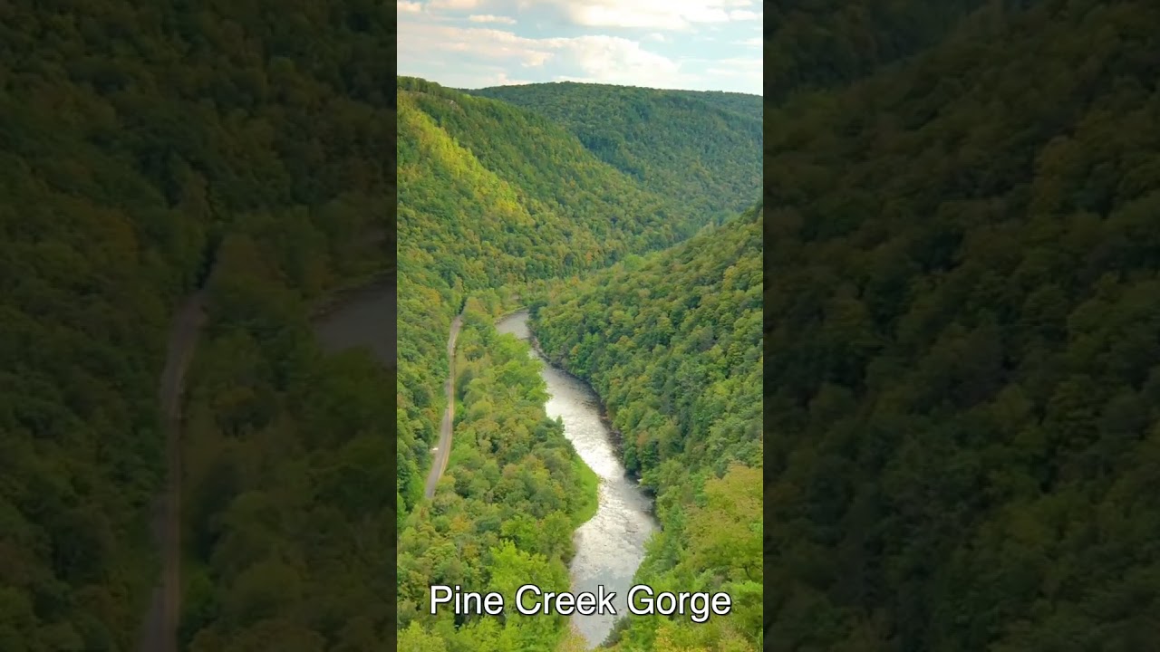 Uncovering the Mysterious Disappearance of Michael What Really Happened