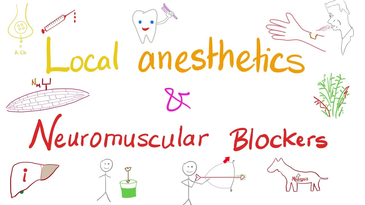 Local Anesthetics and Neuromuscular Blockers | Anesthesiology