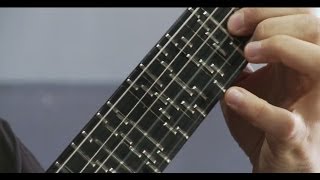 Microtonal Guitar (Fixed Fret) - Tolgahan Çoğulu
