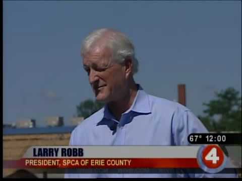 SPCA fights accused horse hoarder