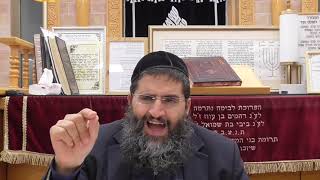 הרב אופיר טנג'י - "חביב אדם שנברא בצלם" - פרקי אבות פרק ג משנה יד (שיעור 50)- חלק א