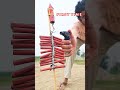 Mirchi Bomb On Rocket Shorts Short Viral Crackers Ytshorts Fireworks Bobbysunarrajput