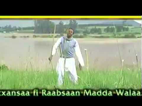 Urgessa Gabissa   Hadhaa Mashiini (Oromo Music)