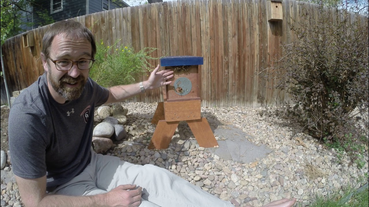 What is Bee Bearding