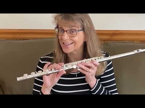 Di Zhao 801 Flute Unboxing