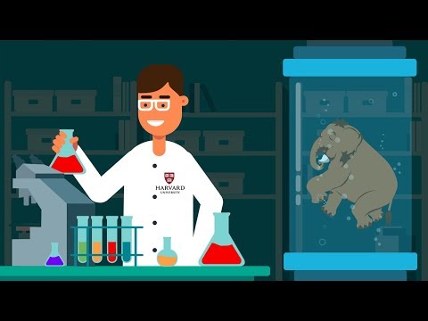 Why We Should Bring Back Woolly Mammoths