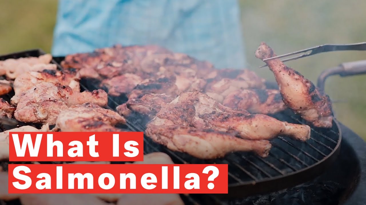 What is Salmonella?